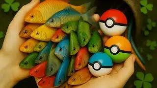 Rescue Colorful Fish In Pokemon Balls, All The Cute Fish  #ColorfulFish #cutefish #live