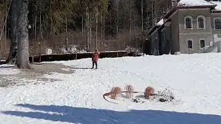 Busteni Trip (Romania) 2023