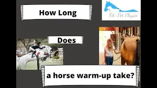 How Long Does a Horse Warm-up Take?