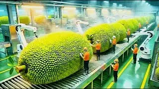 Inside the 50,000 LB Jackfruit Plant &ndash; The HYPNOTIC Shredding of Modern Vegan Pork Production