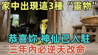 家中突然出現這3種“靈物”！恭喜妳，神仙已入駐，三年內必逆天改命！