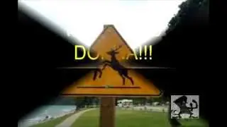 Please Move Deer Crossing Sign. Part 2.Donna The Deer Lady