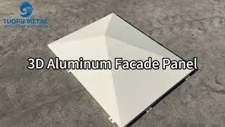 Powder Coated Aluminum Facade Panel 3D Aluminum Building Materials