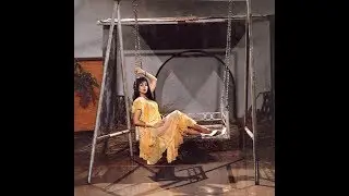 Pakistan  Film  Shehanshah Nazan Saatci  Sultan Rahi