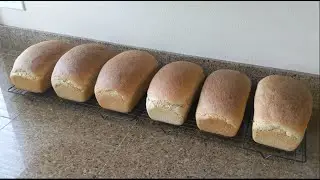 How to Make EASY Whole Wheat Bread or Rolls