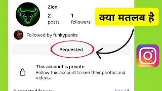 requested kya hai | instagram me requested ka matlab kya hota hai | requested meaning on instagram