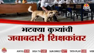 Special Report | भटक्या कुत्र्यांवर शिक्षक ठेवणार &lsquo;पाळत&rsquo;? | Stray Dogs Issue