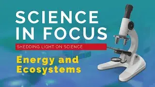 Science in Focus: Shedding Light on Science &ndash; Ep. 6: Energy and Ecosystems