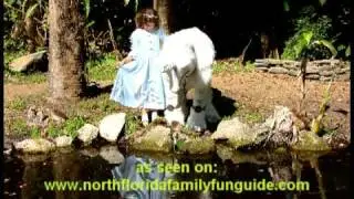 Unicorn In The Garden!  - creaturiffic.com