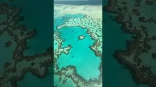 Just the heart reef and our little plane shadow 🤭 #australia #greatbarrierreef