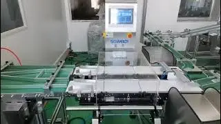 High-Speed Dual-Lane Checkweigher With Rejector Parallel Lane Weight Checker