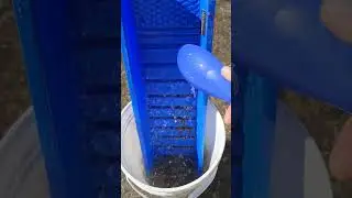 Catching Black Hills Gold With Me Geo Sluice #gold #goldpanning #sluice