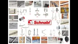 Schnabl video short BAS