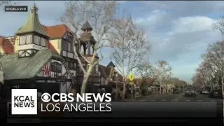 SoCal road trip ideas for spring break
