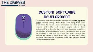 Top Software Solutions Service Provider   The Digi Web Store