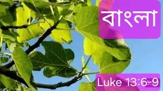 Sermon of New year Luke :13 :6 -9
