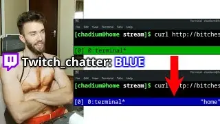 How I made Twitch chat change the color of my terminal