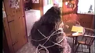 Bigfoot Washington Mutual Sasquatch 90s Commercial (1995)