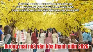 Đường mai Nhà Văn Hóa Thanh Niên- Tết Bính Ngọ 2026-   điểm đến lý tưởng của giới trẻ năm nay
