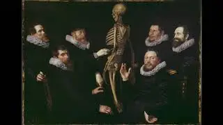 Repetytorium na podstawie A. Bochenka - Osteologia