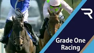 Energumene dominates to deliver Champion Chase double - Racing TV