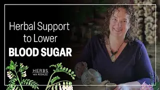 Astragalus Health Benefits for Type 2 Diabetes