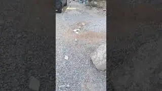 Тротуар в Шымкенте (Спасибо за такой бардак) ул ТУРЫСОВ 47