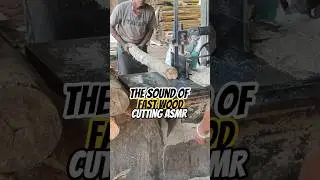 The Sound of Fast Wood Cutting ASMR #woodworking #wood #automobile #viral #2026