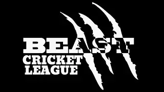 BCL EDITION-2 || ACE CUP || SEMI-FINAL 2 || THE MASTERS VS MSD 11 ||