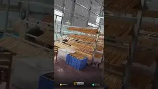 Premium Wooden Hangers