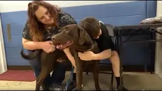 Thor, the Seizure Alert Dog