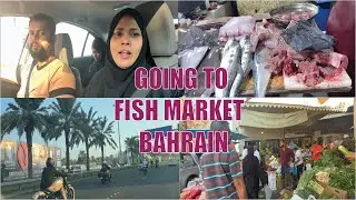 GOING TO FISH MARKET  BAHRAIN