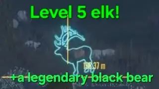 Catastrophic elk and legendary bear hunt on silver ridge peaks in the hunter call of the wild