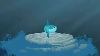 Sunny the Sunfish introduction