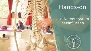 Einfluss auf das Nervensystem - hands on