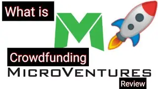 Crowdfunding at Microventures review and crowdfunding portflio review