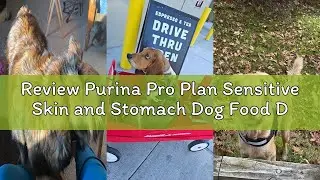 Review Purina Pro Plan Sensitive Skin and Stomach Dog Food Dry, Adult Salmon & Rice Formula, Digesti