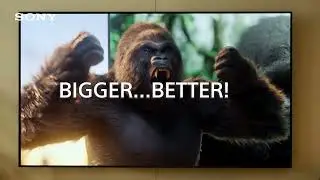 BRAVIA 5 | Experience the Power of True Immersion