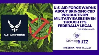 U.S. Air Force Warns About Bringing CBD Products on Military Bases Even Though It's Federally Legal