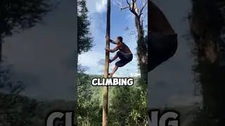 Тарзан в реальной жизни (📸@leo.urban)