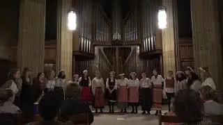 Metskhvaris simgera (Shepherd's song)