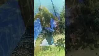 Cycle of Creation Rogue DragonSoul and Valkyrie Dragoness
