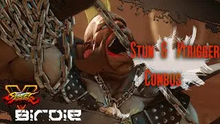 SFV Birdie Stun & Vtrigger combos (beta)