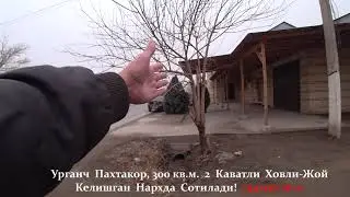 DAXSHAT! Super Narxda Xovli-Joy SOTILADI#хоразм_уй_жой_нархлари2026#villa#uyjoy#home#arzon_uy