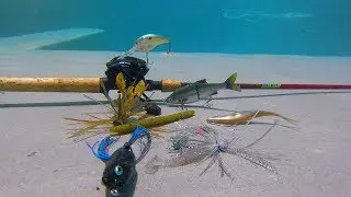 Testing FISHING Lures UNDERWATER