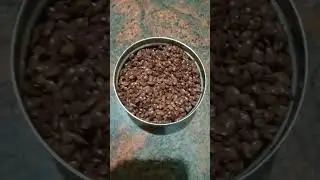 healthy and tasty boiled horse gram