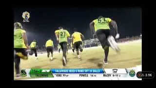 Jamaica Tallawahs 🇯🇲 CPL T20 finals winning moment! Magnificent play by Brandon King!
