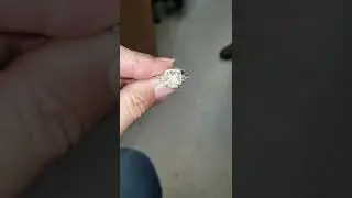 fancy cut diamond engagement ring