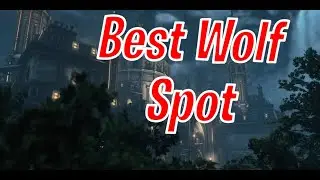 Killer Inn: Best Wolf Spot In The Game!