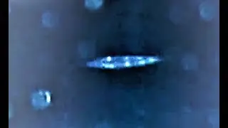 SAUCERS, SHIPS, & FLYING CREATURES COLLECTION~